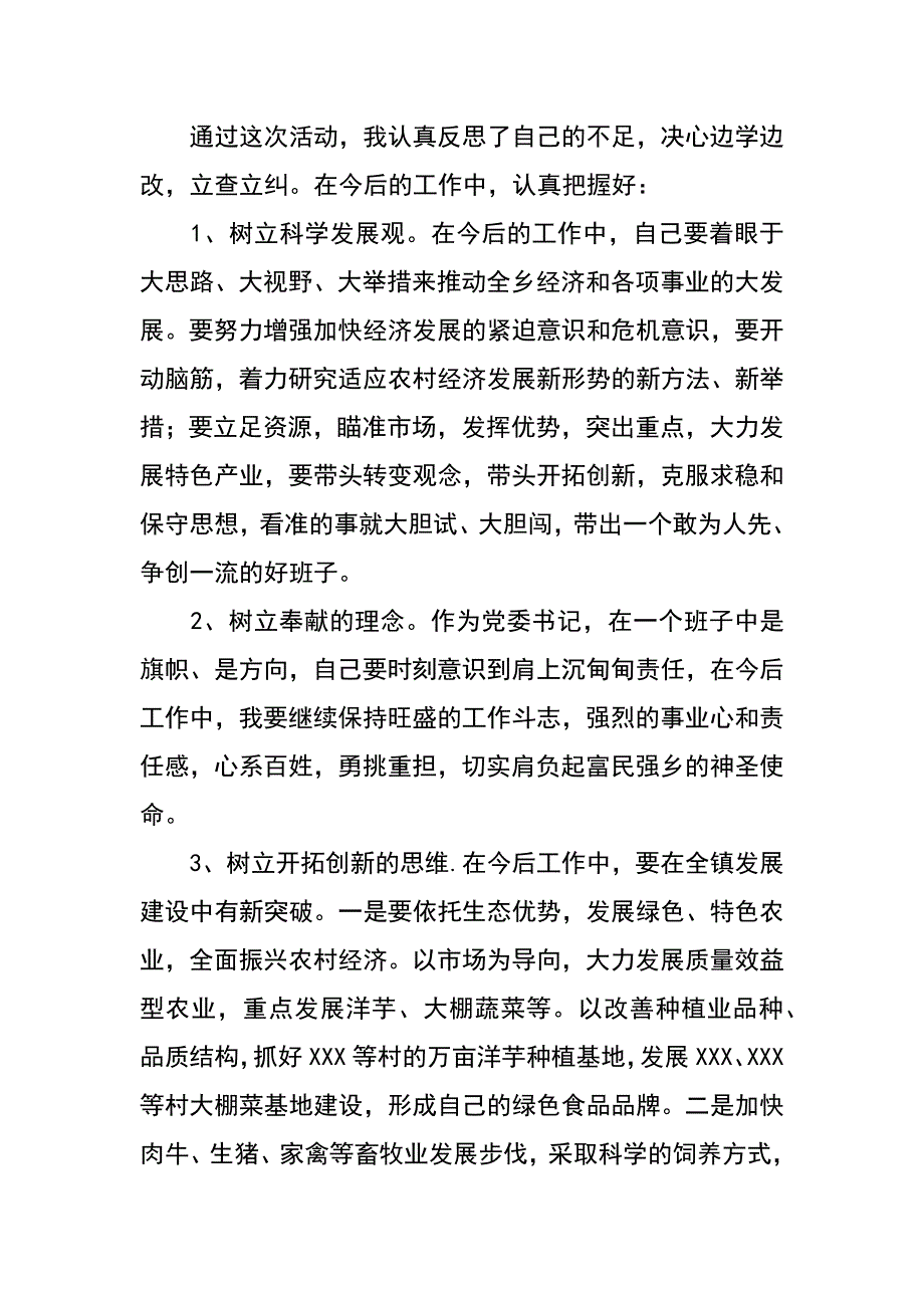 镇党委书记科学发展观第二阶段个人总结_第3页