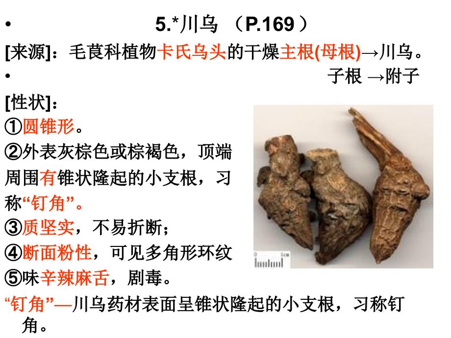 第二篇       论 (被子植物1-8)P_第1页