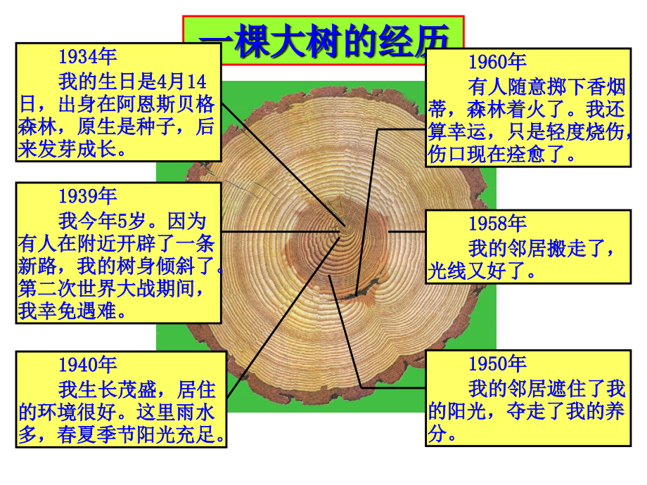 04年高等教师岗前培训教育法规讲稿(广西大学)_第3页