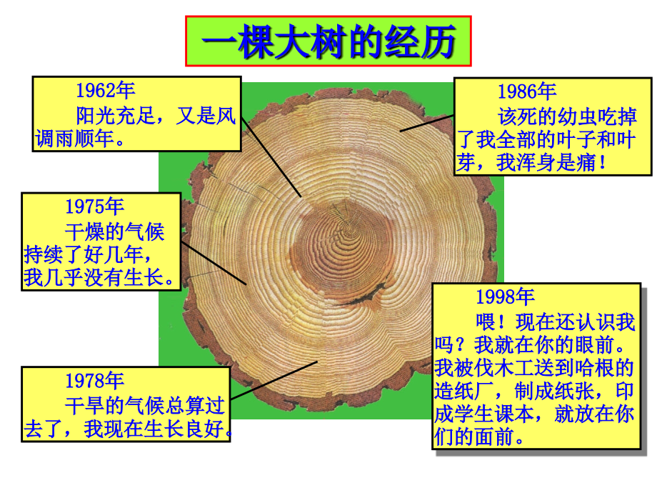 04年高等教师岗前培训教育法规讲稿(广西大学)_第4页