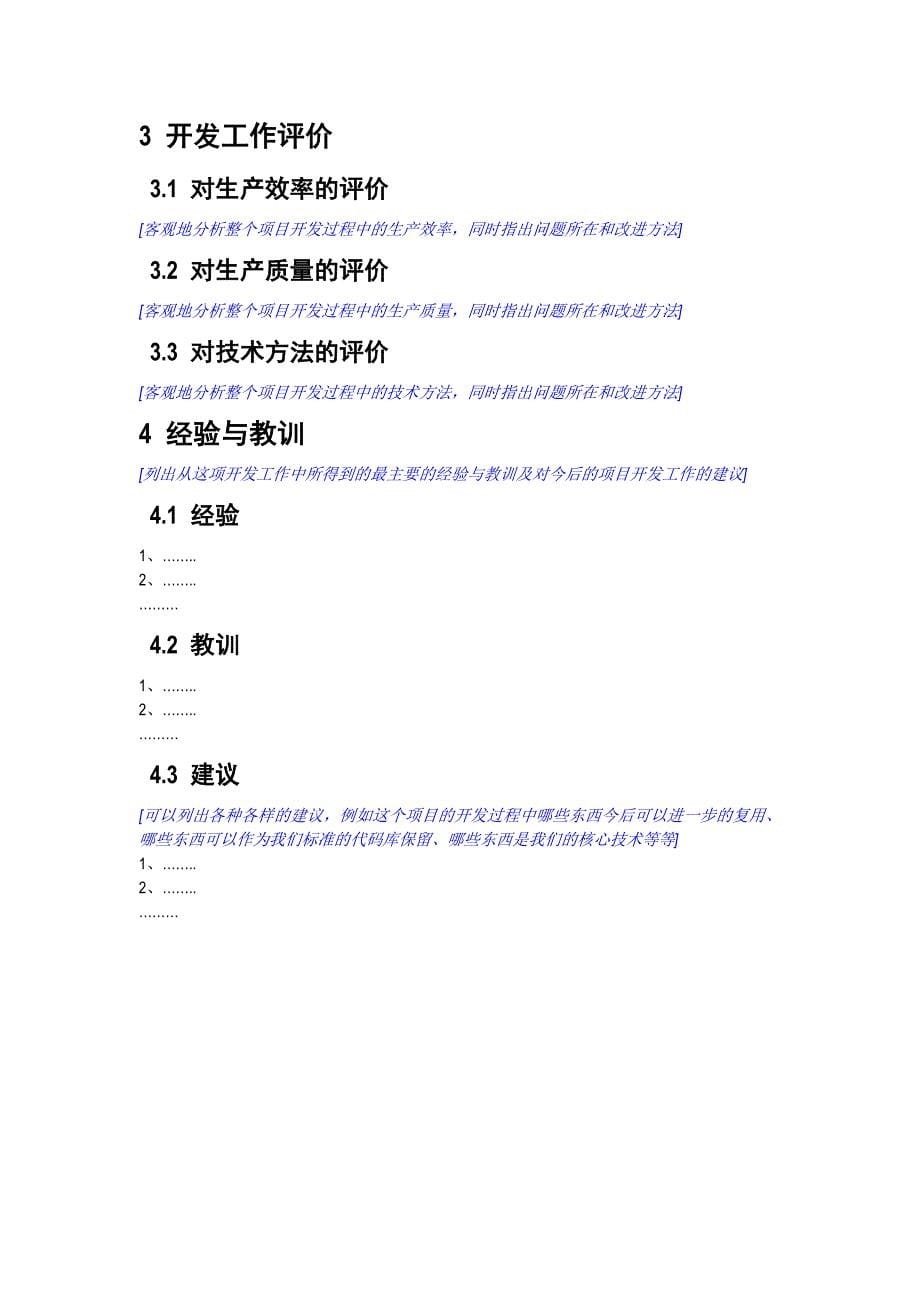 项目总结报告模板_第5页