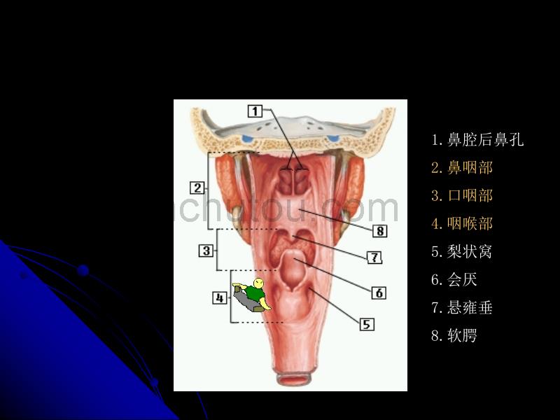 头颈部肿瘤的放射治疗_第3页