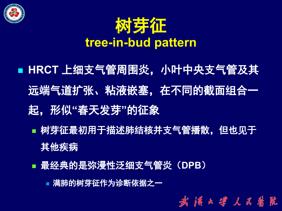 几种特殊胸部影像学的典型学征_第4页