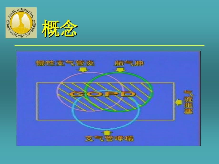 慢性支气管炎和阻塞性肺气肿_第5页