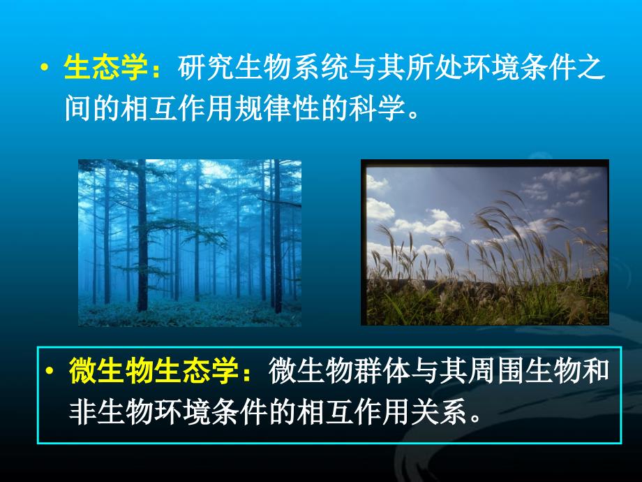 微生物的生态与分类_第2页