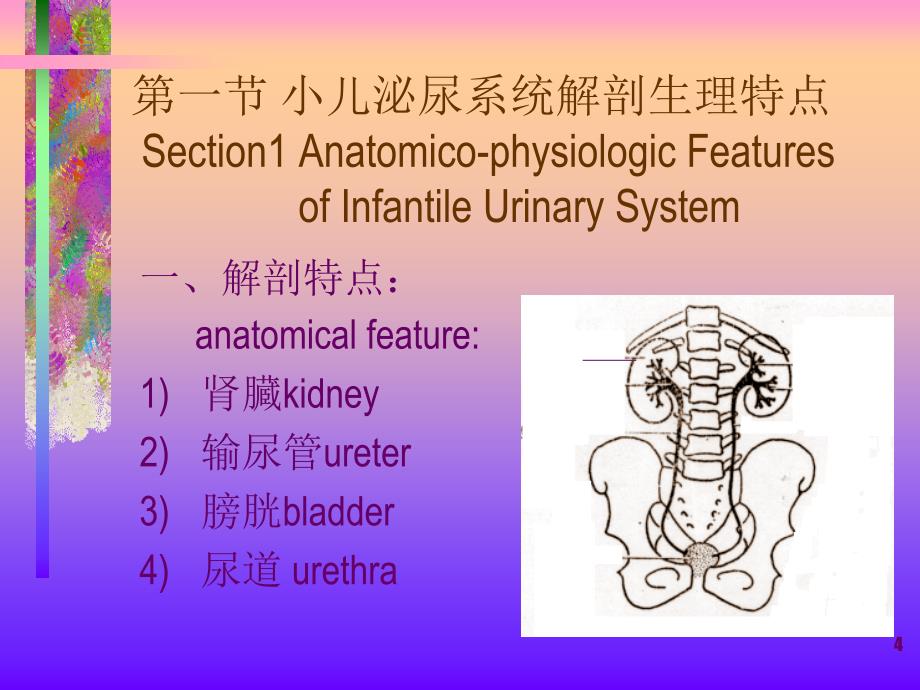 儿科泌尿系统疾病_第4页