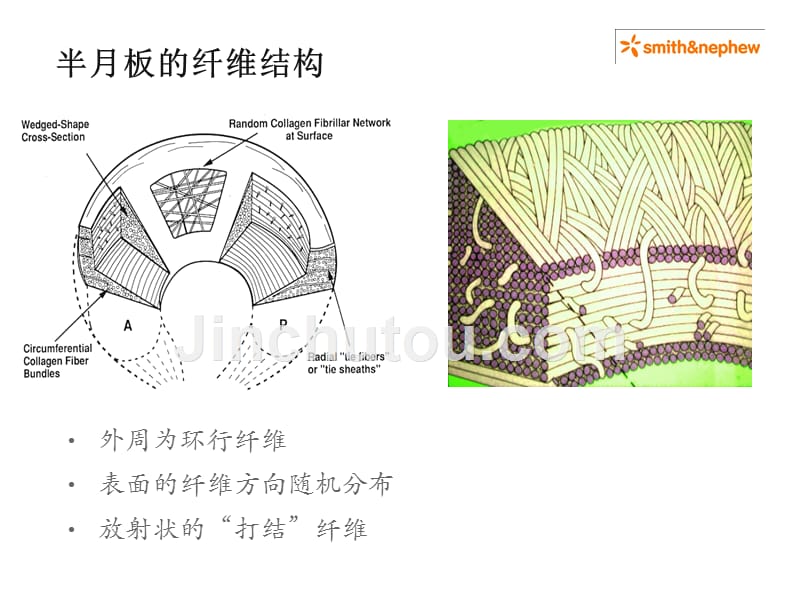 半月板损伤的治疗方法_第5页