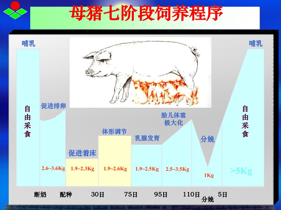 母猪七阶段饲喂程序_第3页