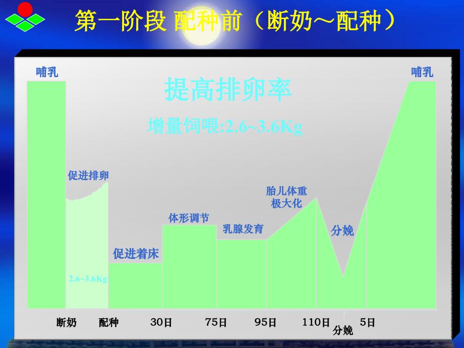 母猪七阶段饲喂程序_第4页