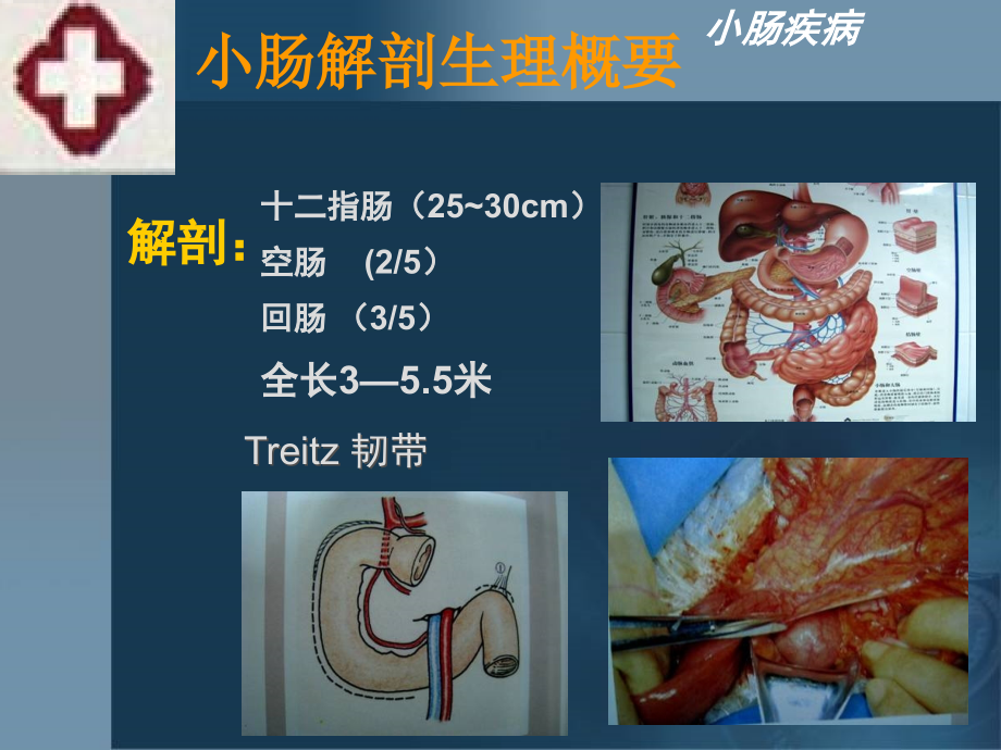 医学超级全小肠疾病_第3页