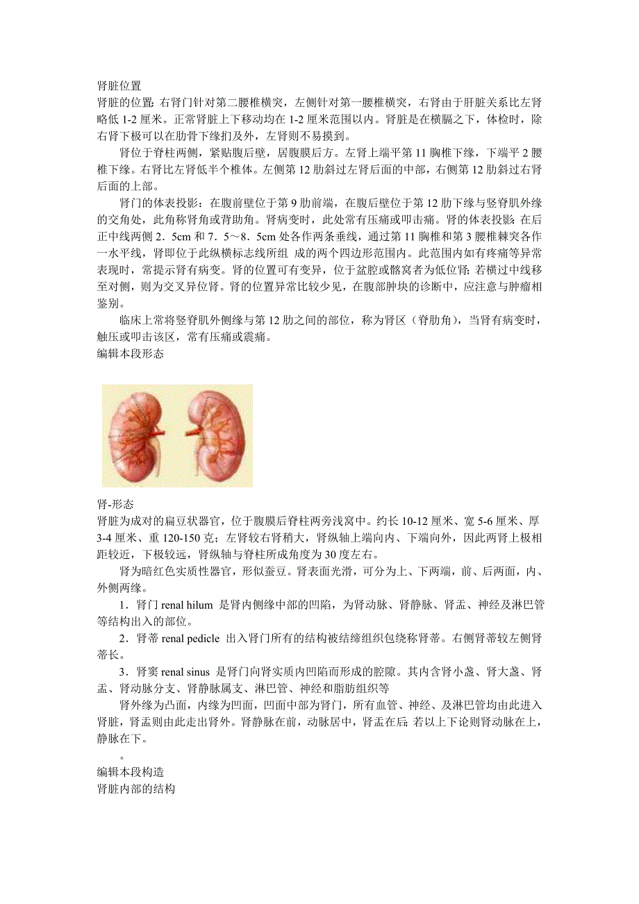 最全面的肾及肾的保健调理_第4页