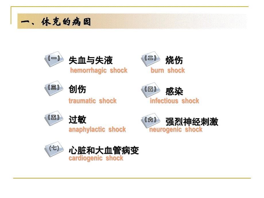 休克的急救与护理_第5页