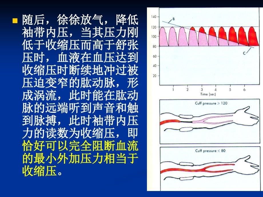 人体动脉血压的测定及影响因素_第5页