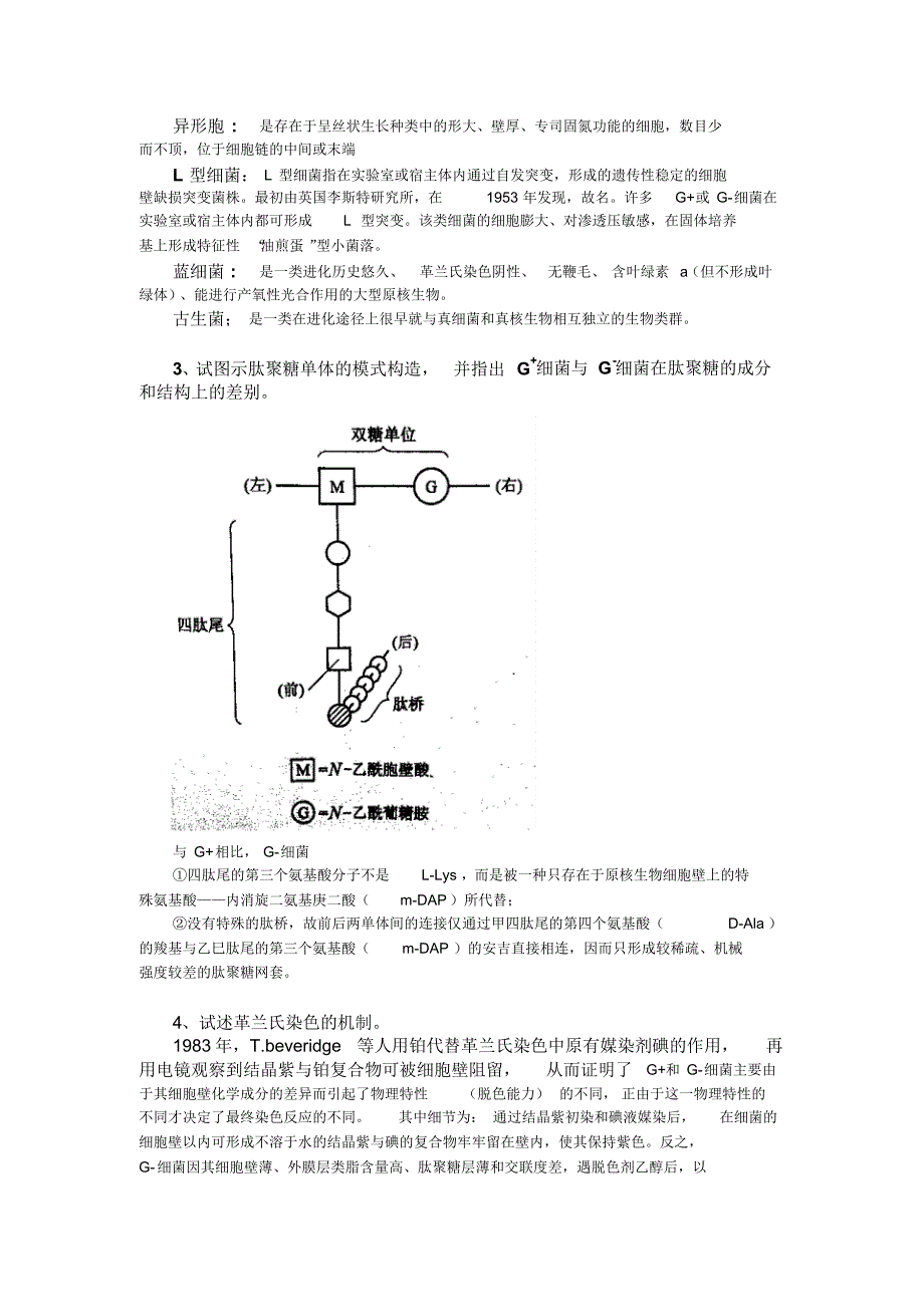 微生物学复习内容新(附答案)_第4页