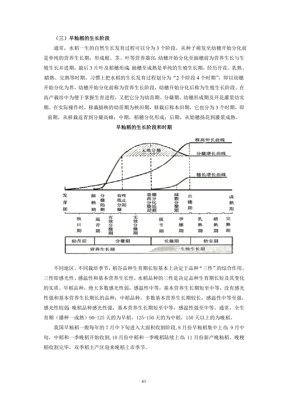 早籼稻现货基础知识_第3页