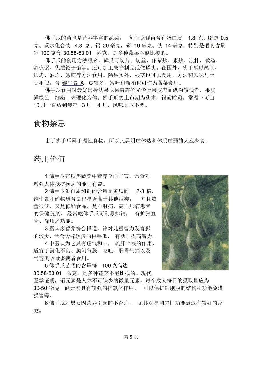 佛手瓜的全面介绍_第5页