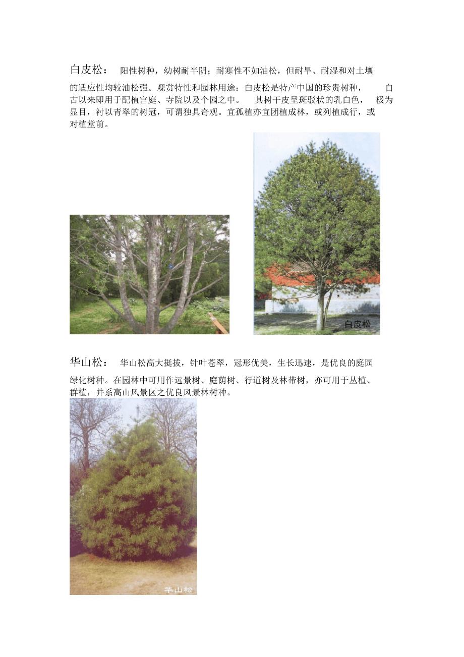 北方常用园林植物汇总_第2页