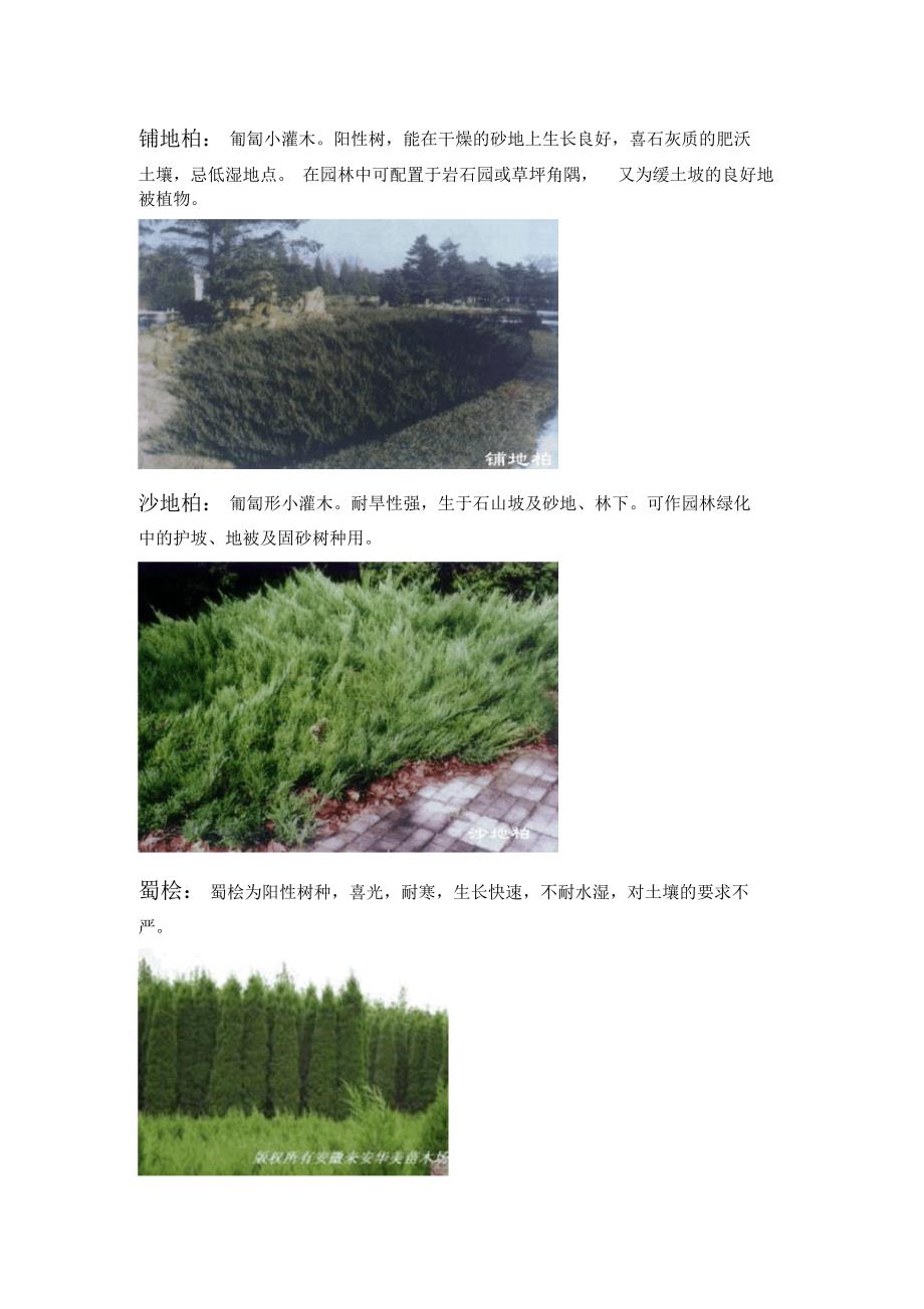 北方常用园林植物汇总_第4页