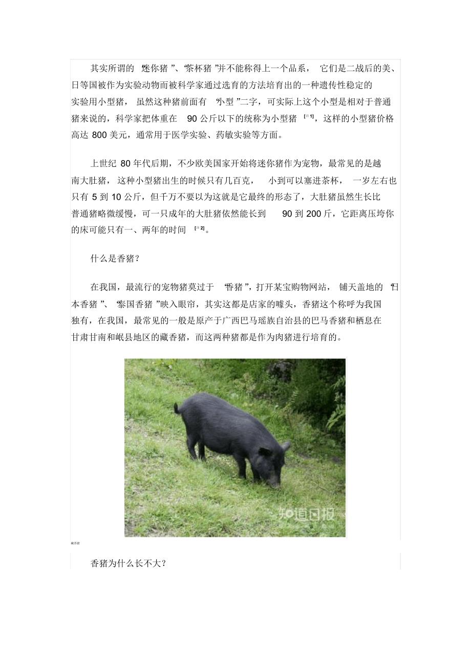 香猪真的长不大么_第2页