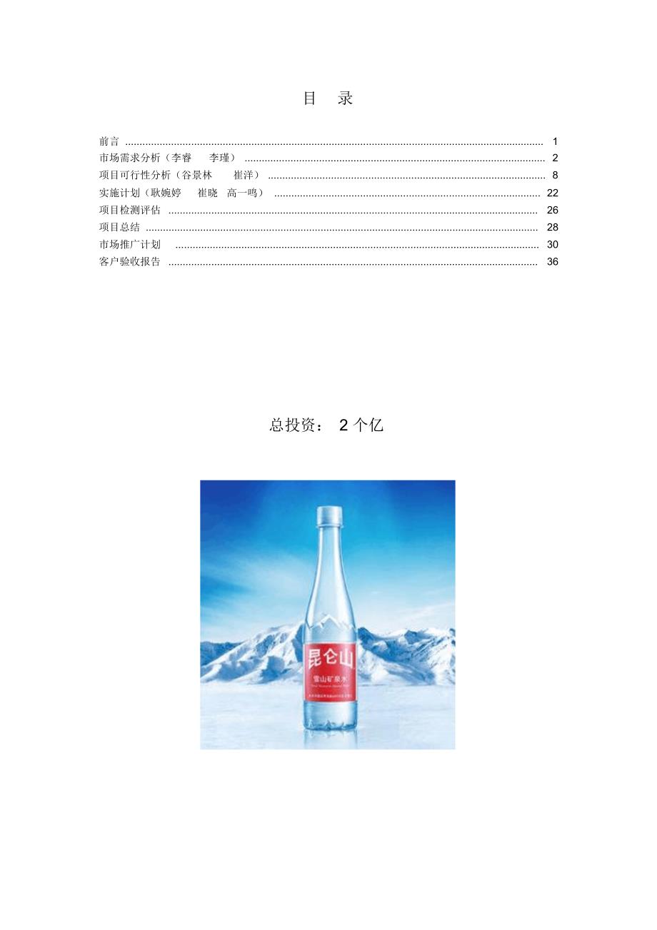 IO鸡尾酒有限公司企划案_第2页