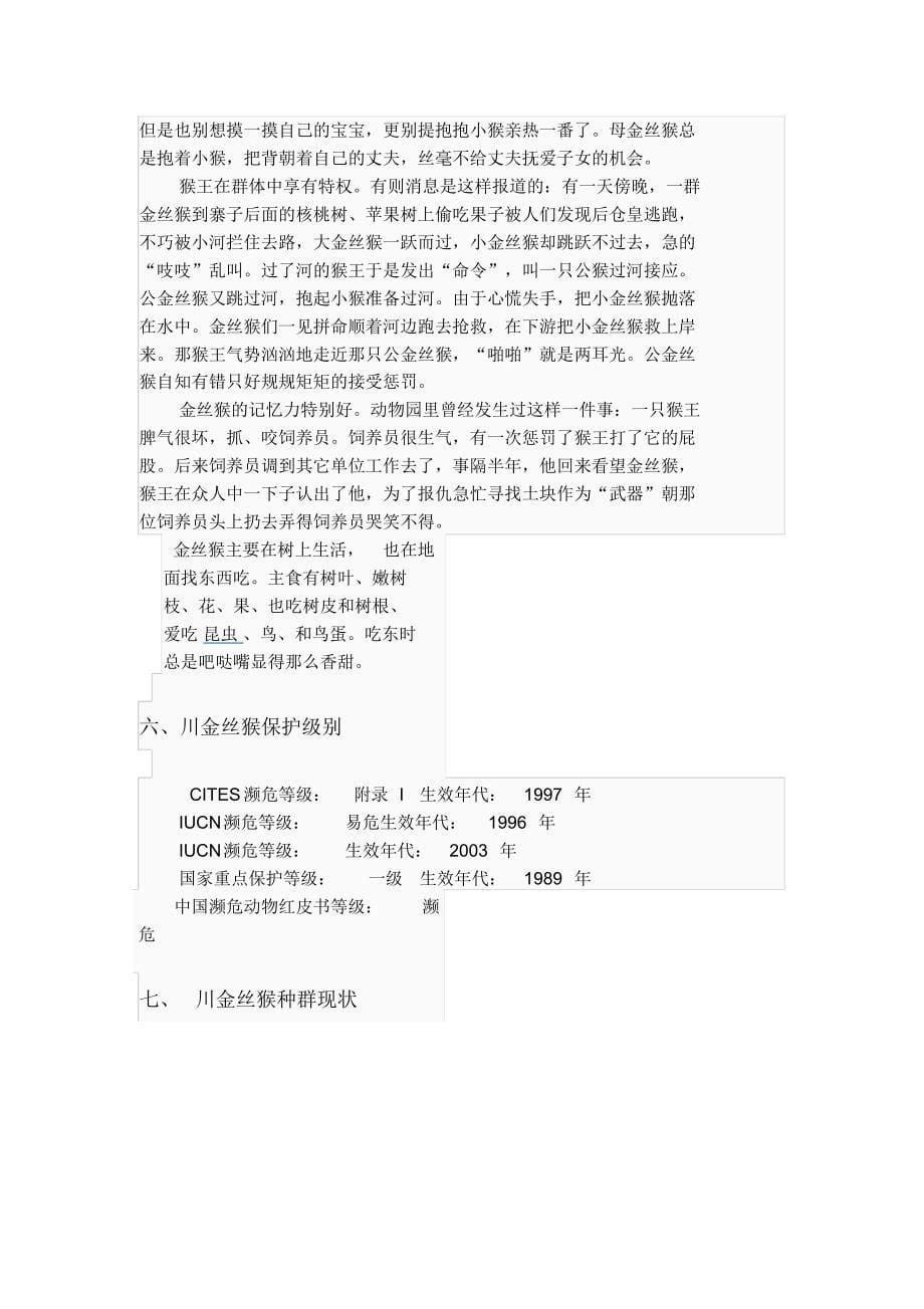 探秘人类近亲论文_第5页