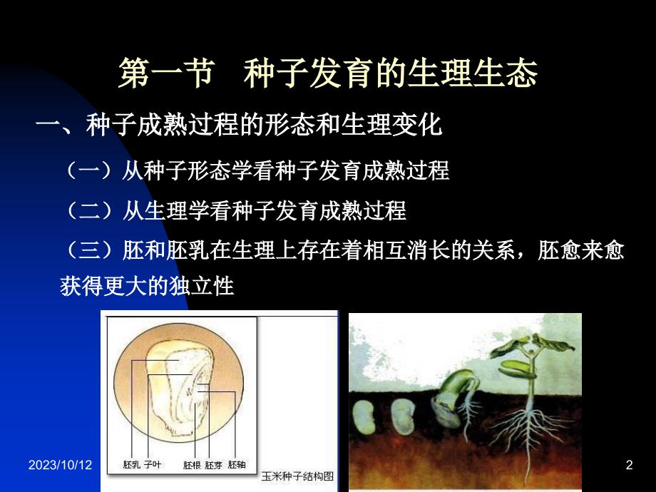 2-蔬菜种子发育与发芽生理生态_第2页