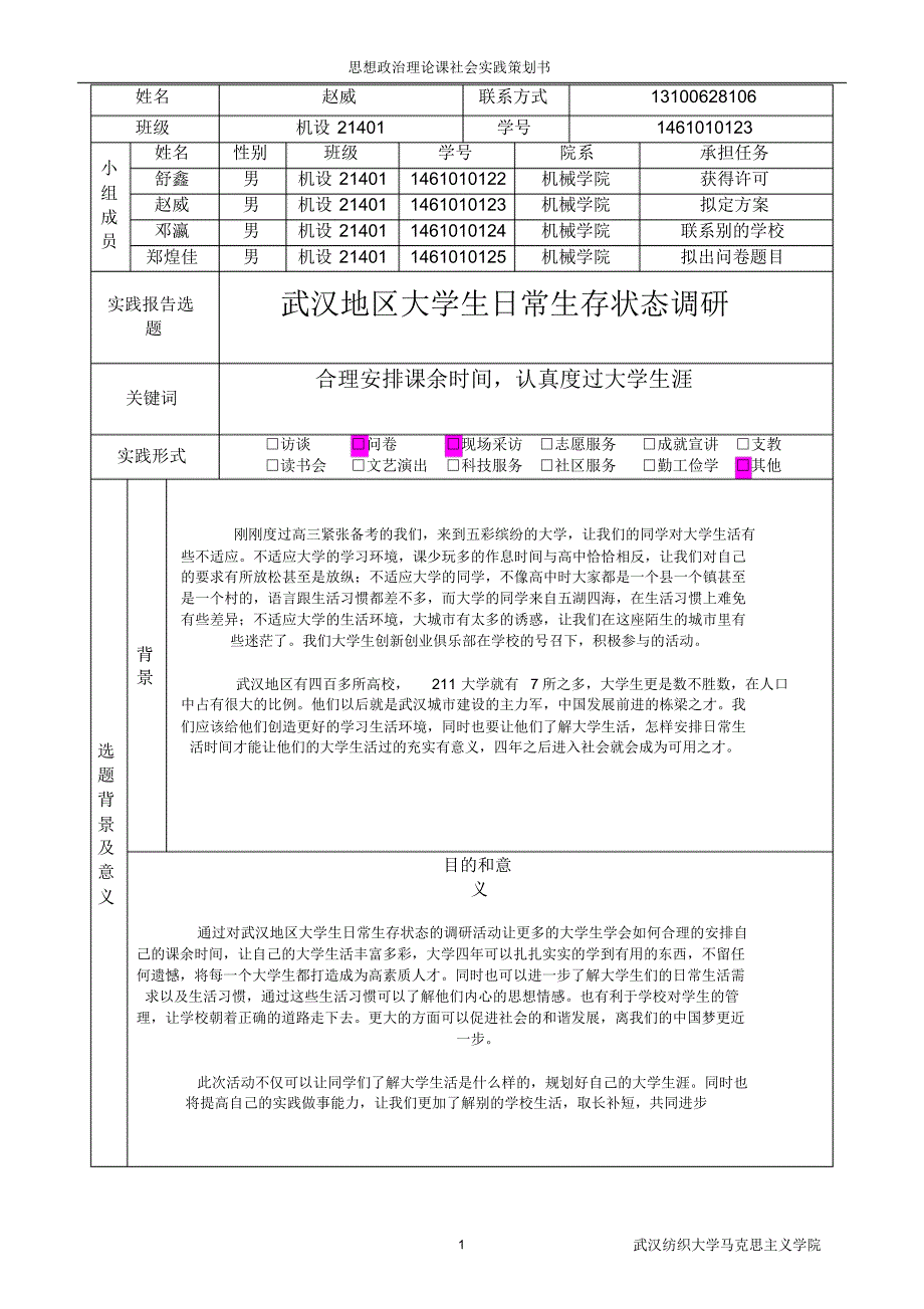 思想政治理论课大学生社会实践策划书_第1页