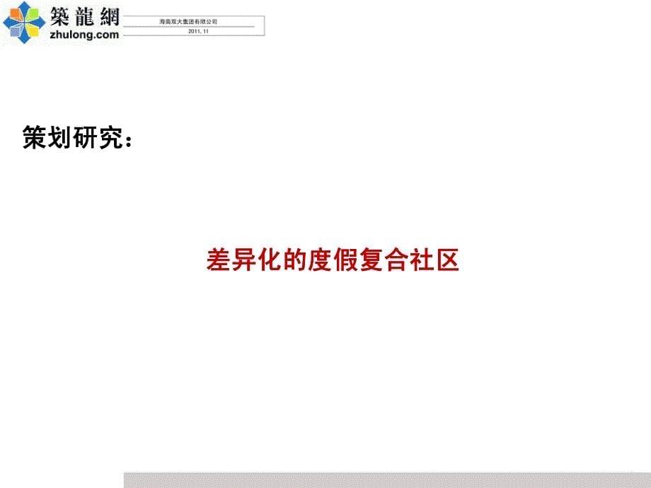 海南xx双大自驾度假村规划方案汇报_第5页