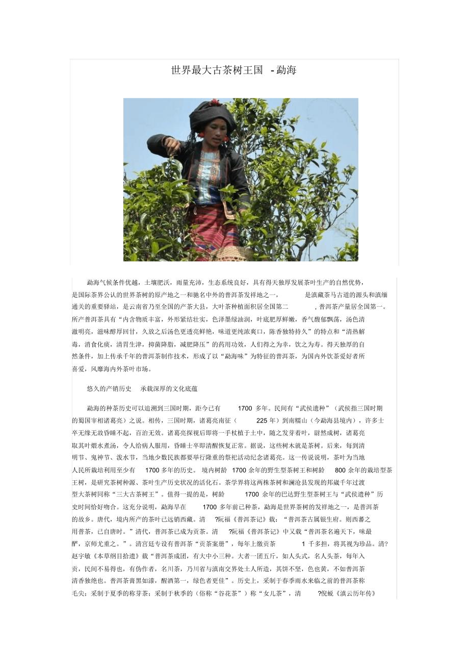 世界最大古茶树王国-勐海_第1页