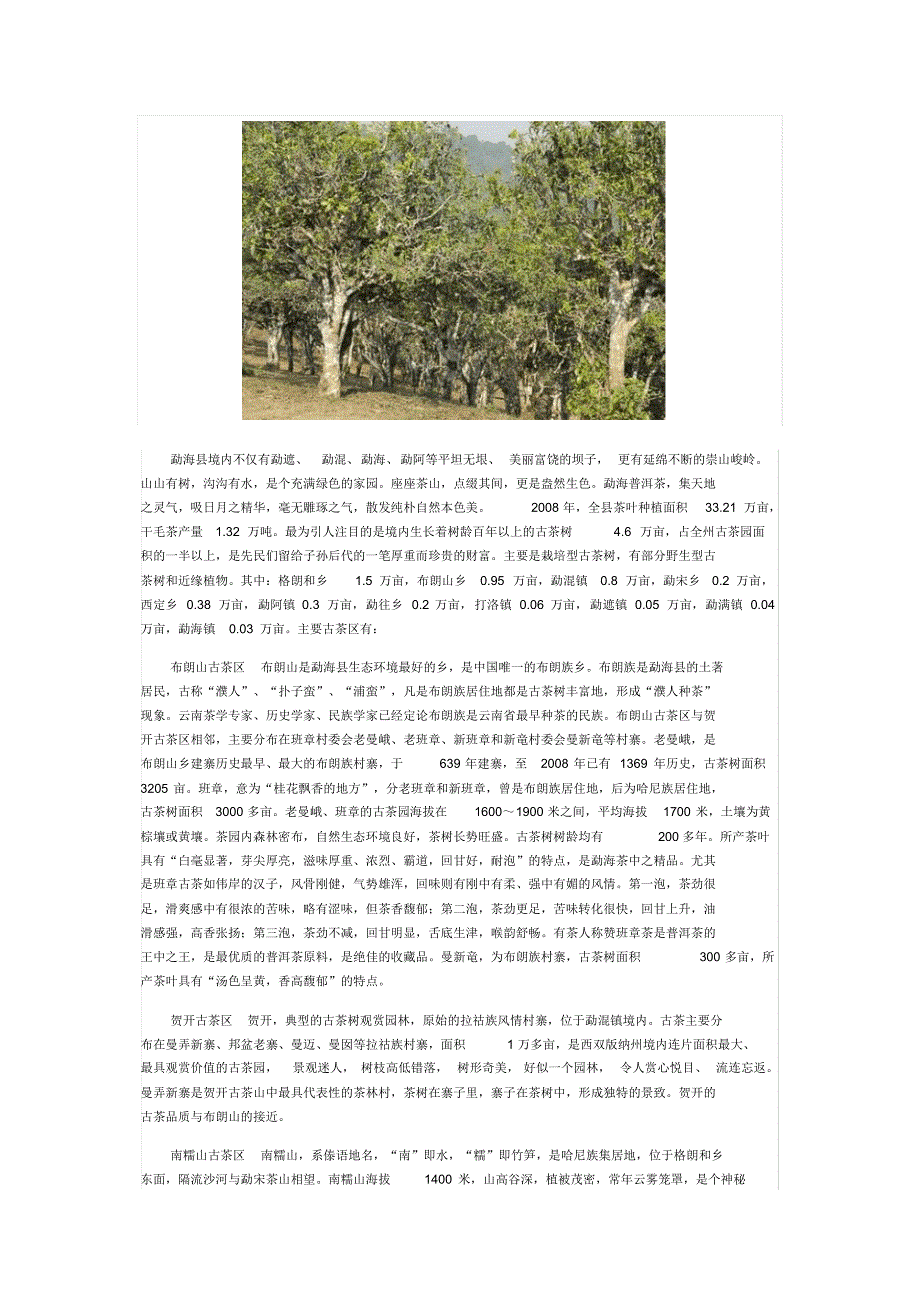 世界最大古茶树王国-勐海_第3页