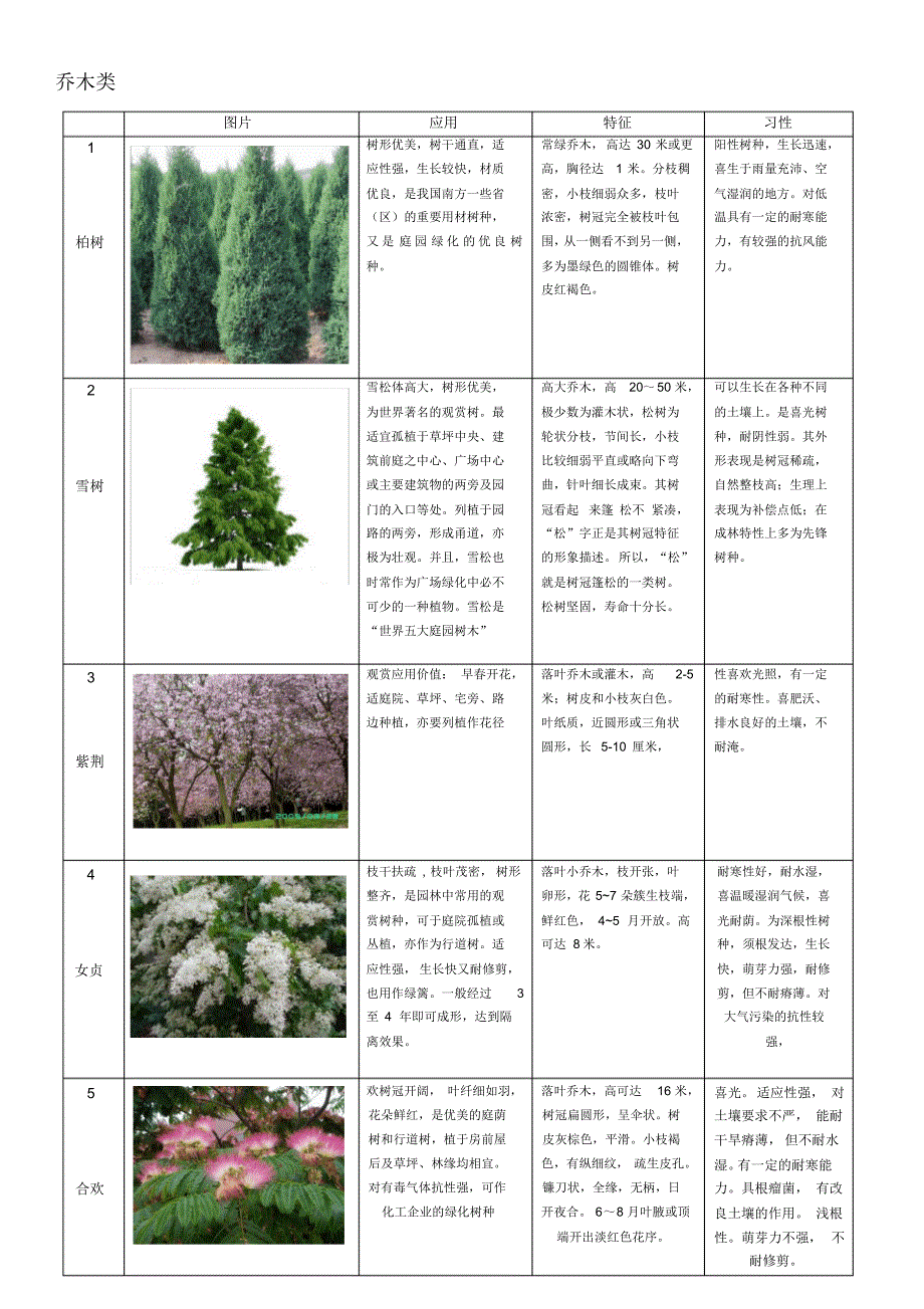 60种植物整理-乔木类_第1页