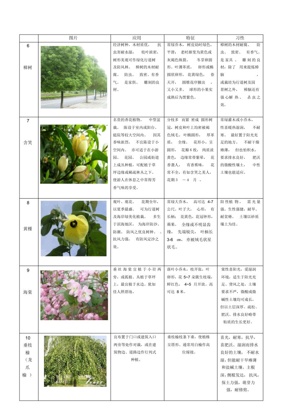 60种植物整理-乔木类_第2页