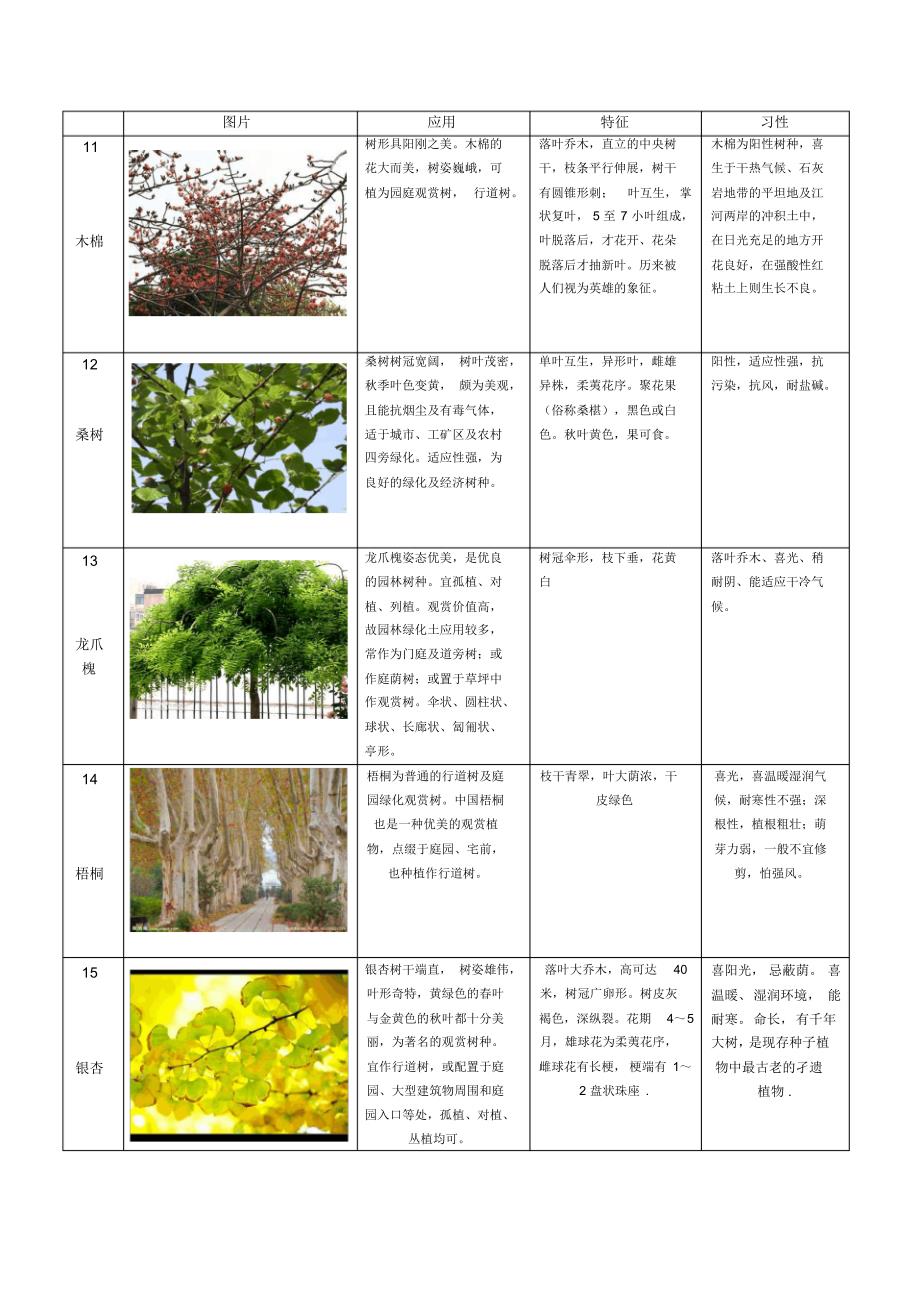 60种植物整理-乔木类_第3页