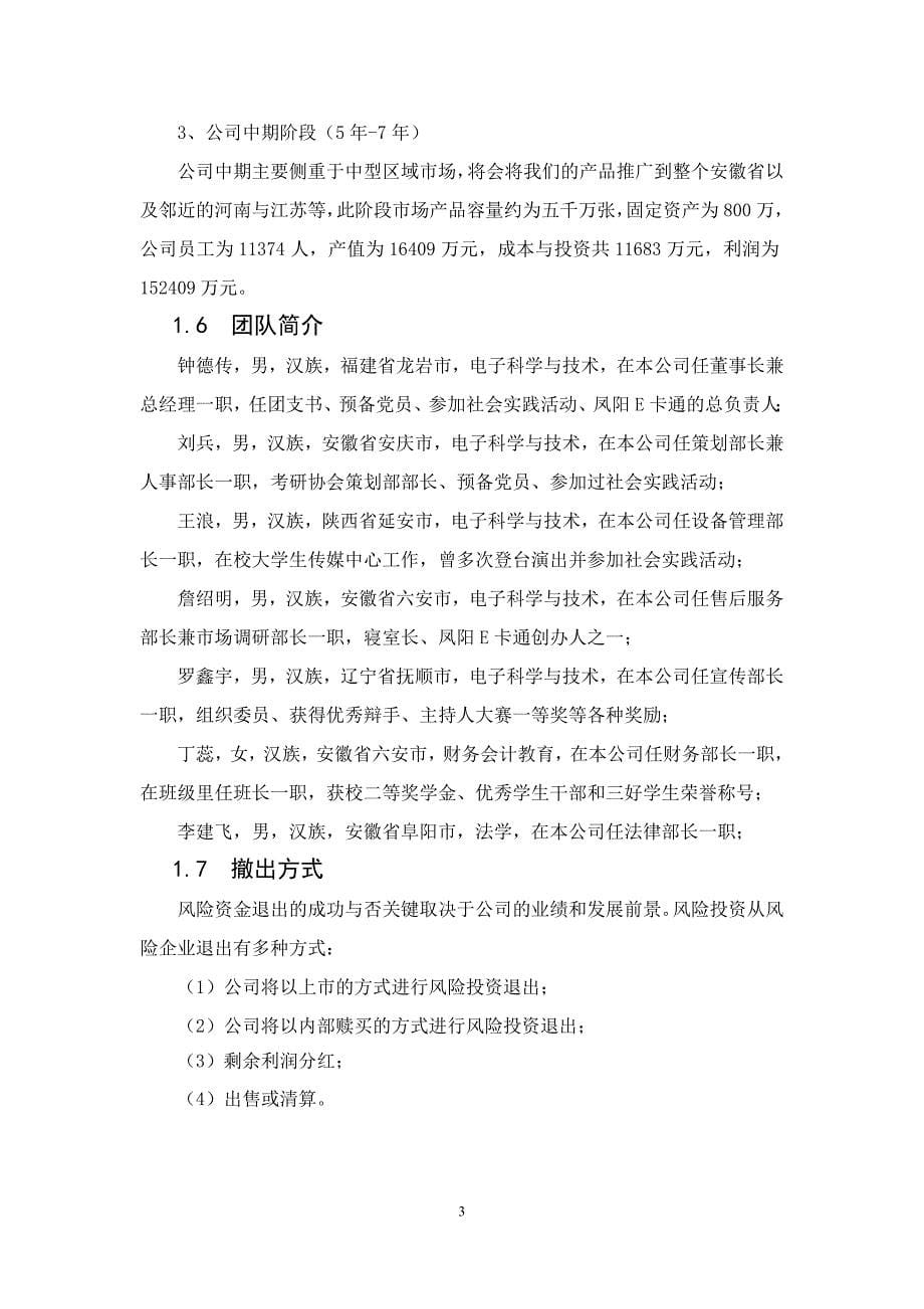 凤小鸡服务公司创业计划书_第5页