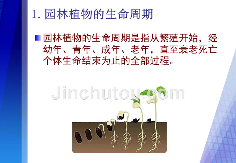 园林植物生长发育基本规律_第2页