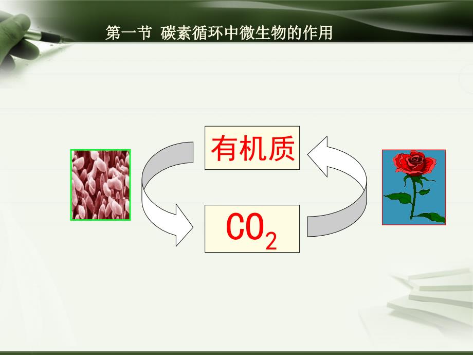 微生物在自然界物质循环中的作用_第2页