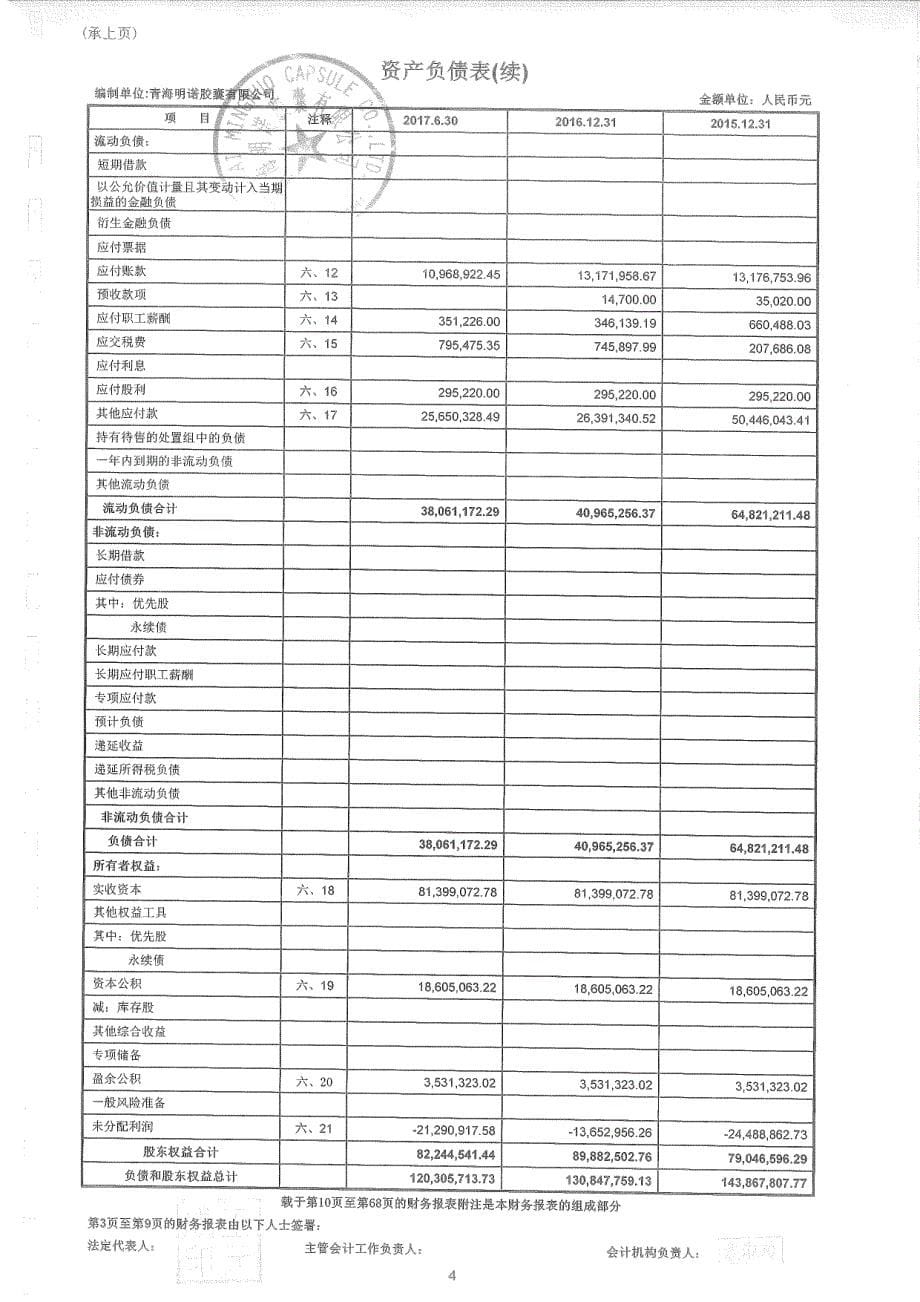 神州易桥：青海明诺胶囊有限公司审计报告_第5页