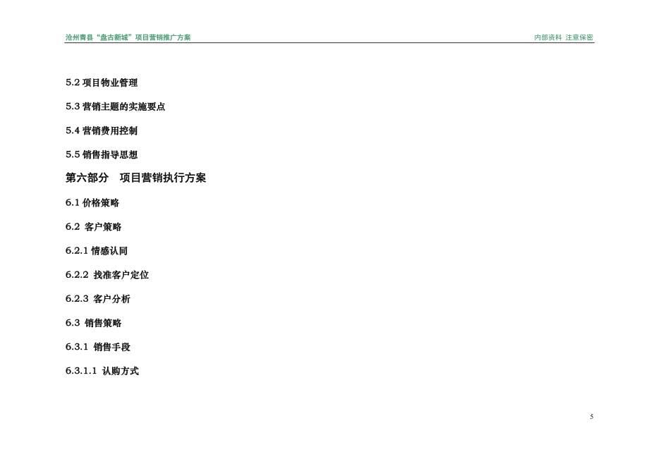 沧州青县“盘古新城”项目营销推广_第5页
