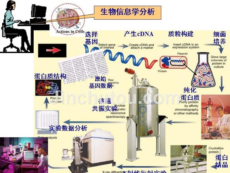 生命体系中金属离子-今日化学讲座陈浩2_第5页