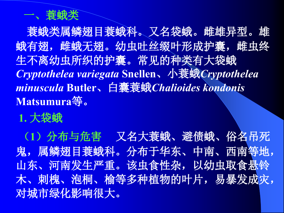 园林植物保护之园林植物主要害虫及防治_第4页