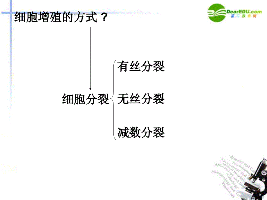 高中生物 细胞增殖-第一课时植物细胞有丝分裂过程研究详细课件 浙教版_第2页