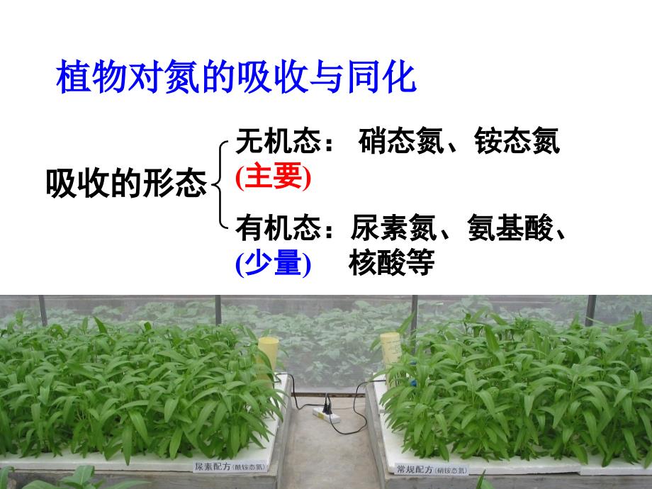 肥料学的基本知识(讲)-张承林_第4页