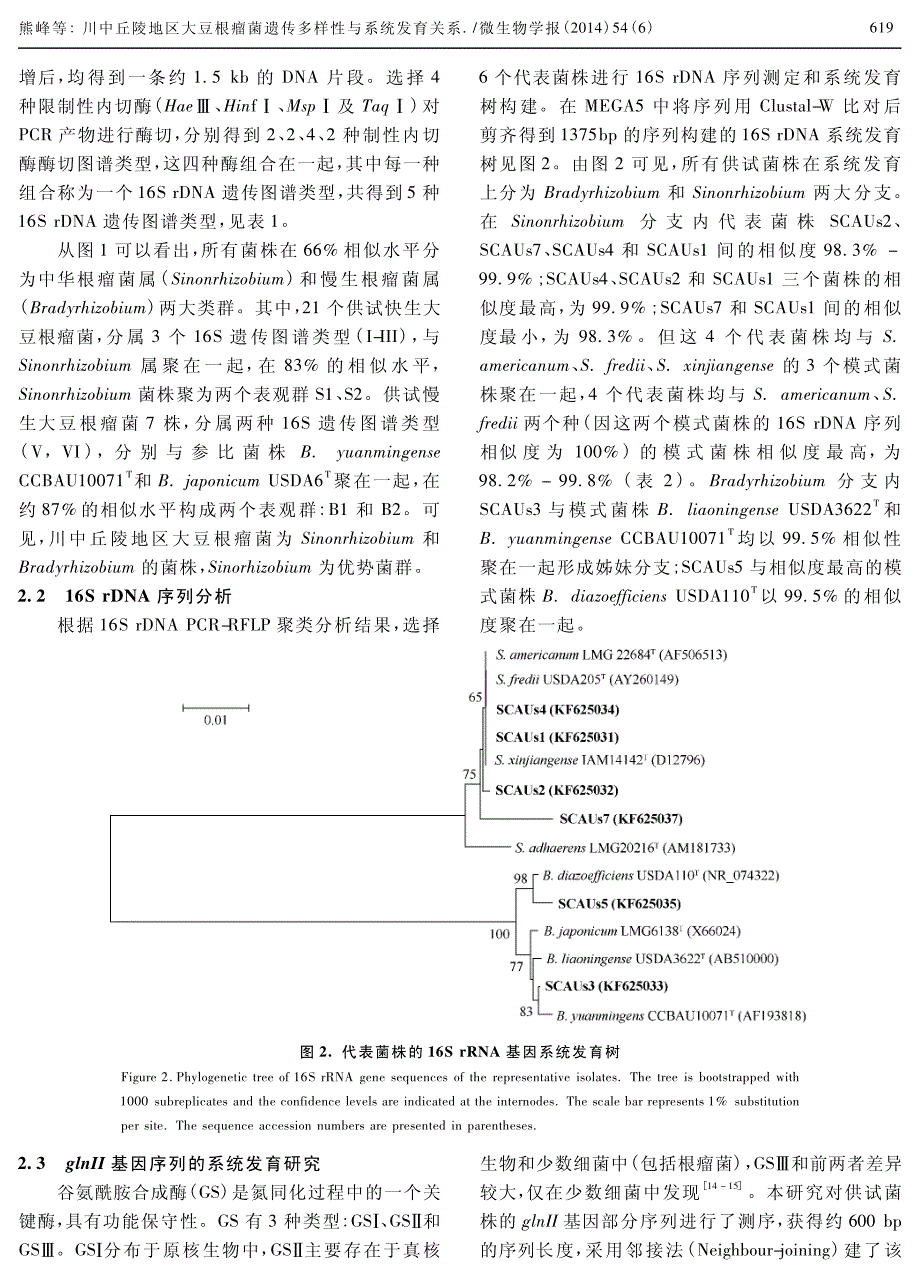 川中丘陵地区大豆根瘤菌遗传多样性与系统发育关系_第4页