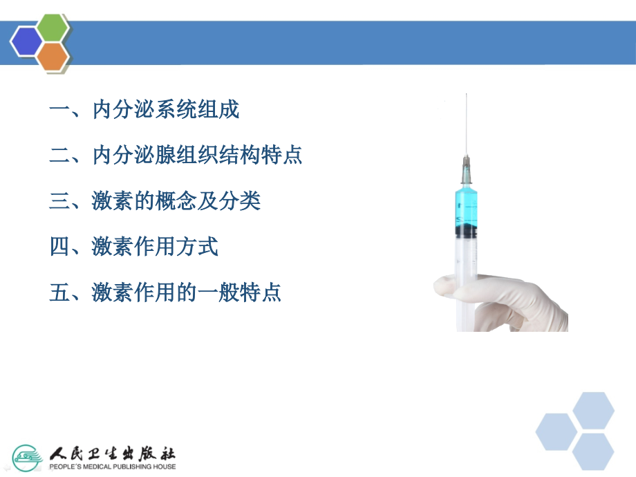 解剖生理基础--内分泌系统_第5页