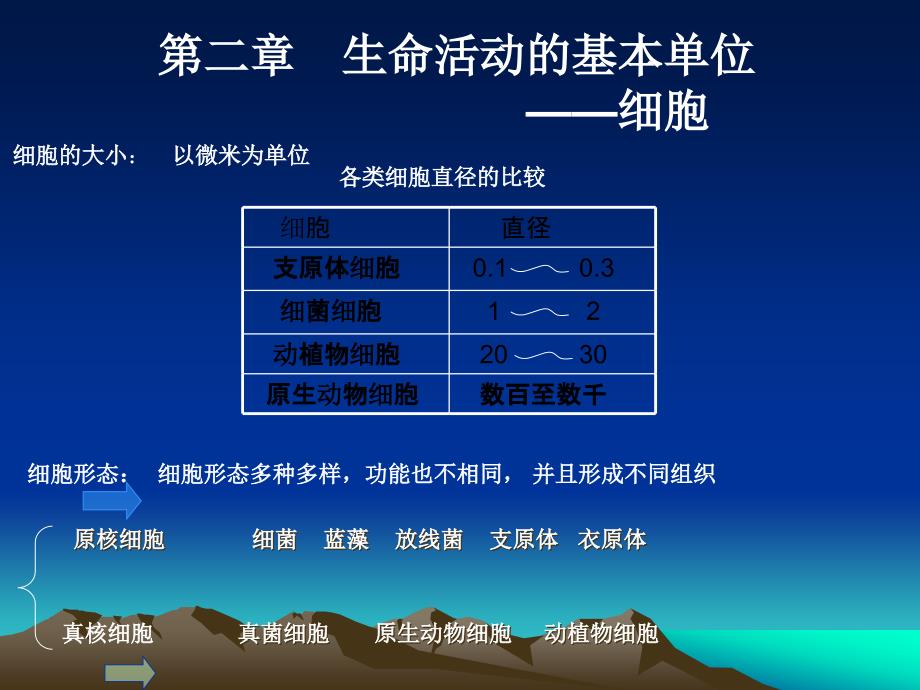 生命活动的基本单位_第1页