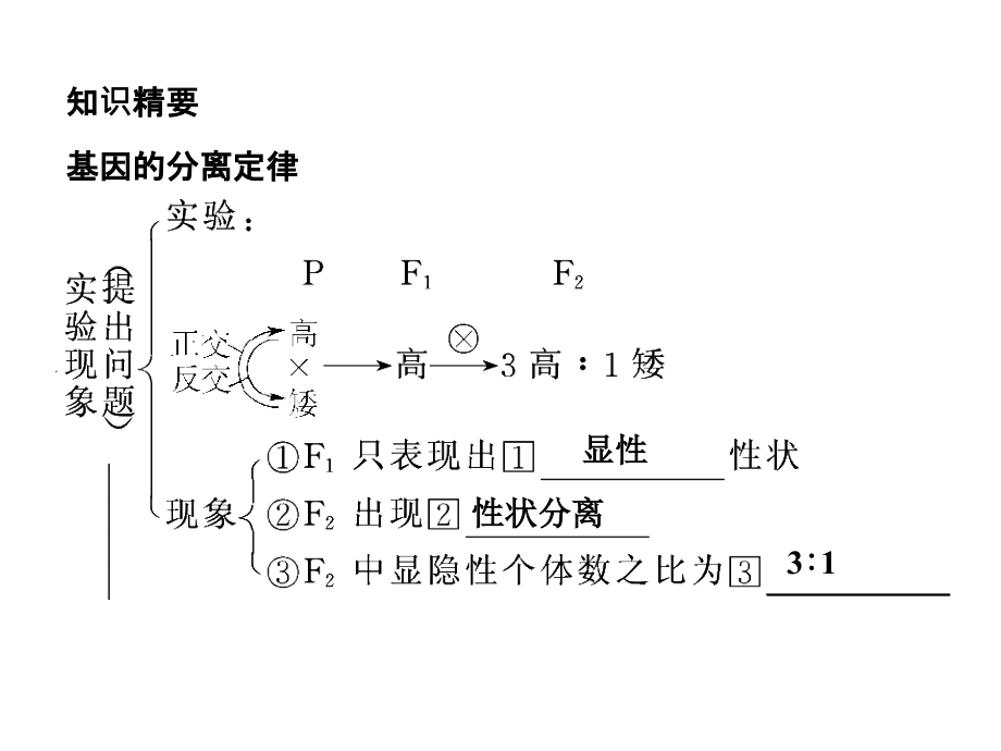 2011届高考生物第一轮复习课件27_第2页