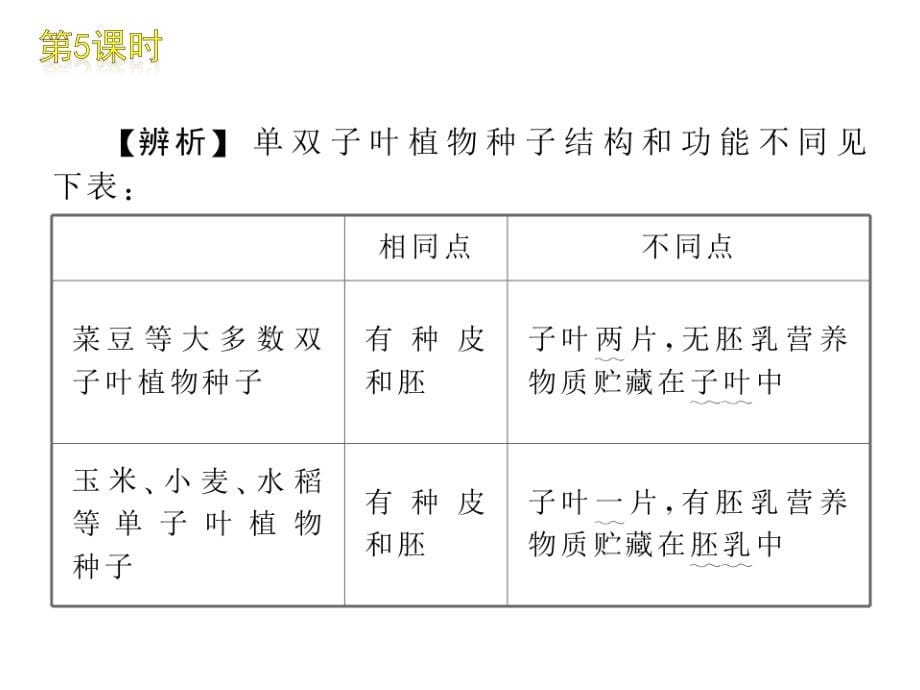 2010届九年级生物总复习课件5_第5页