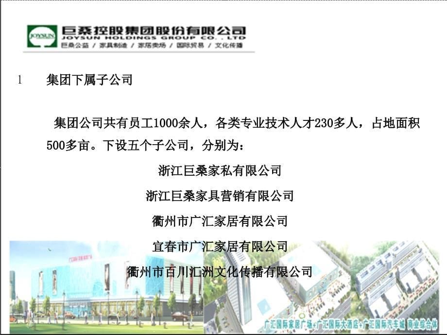 巨桑控股集团企业简介_第5页