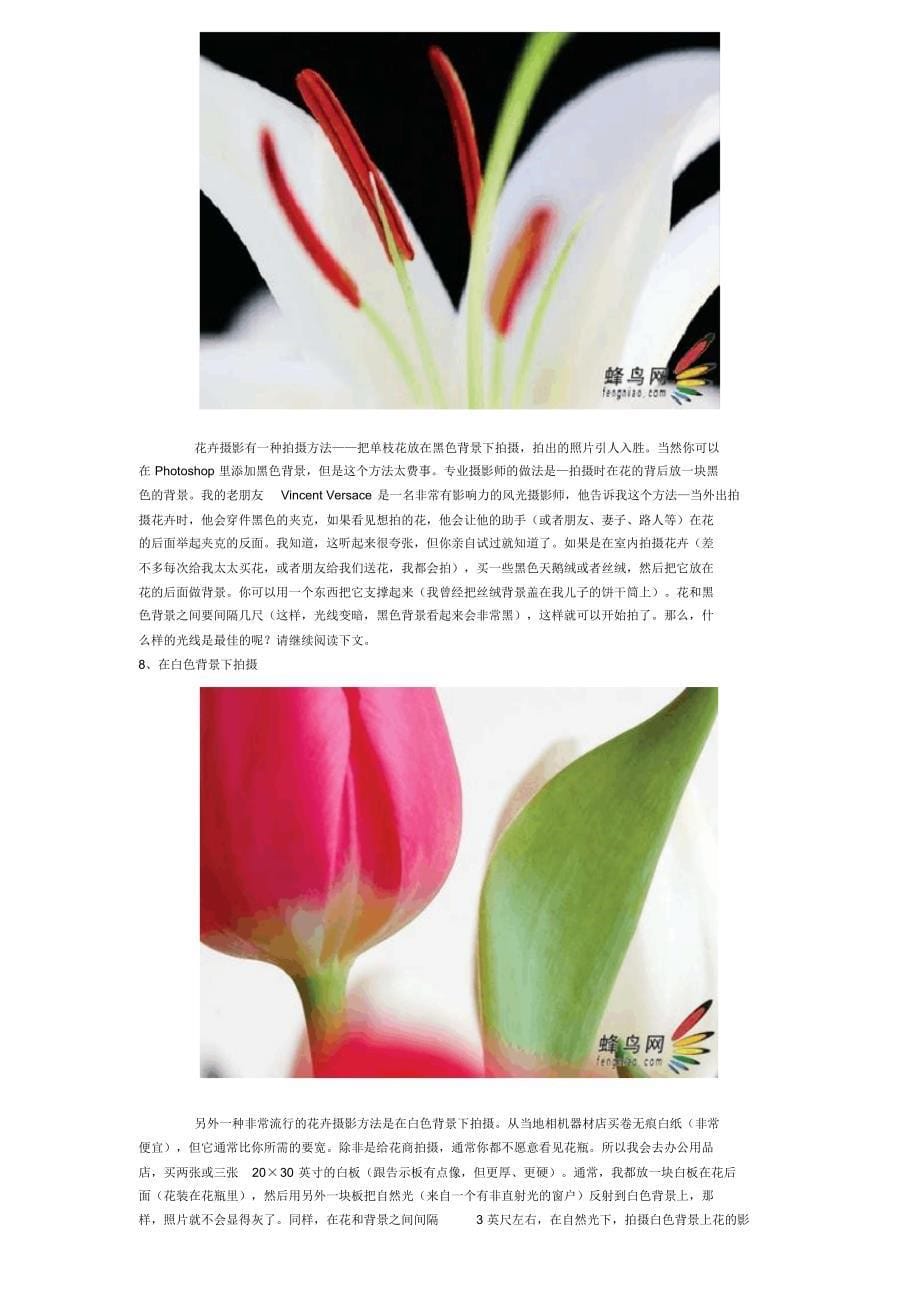 专业花卉摄影技巧_第5页