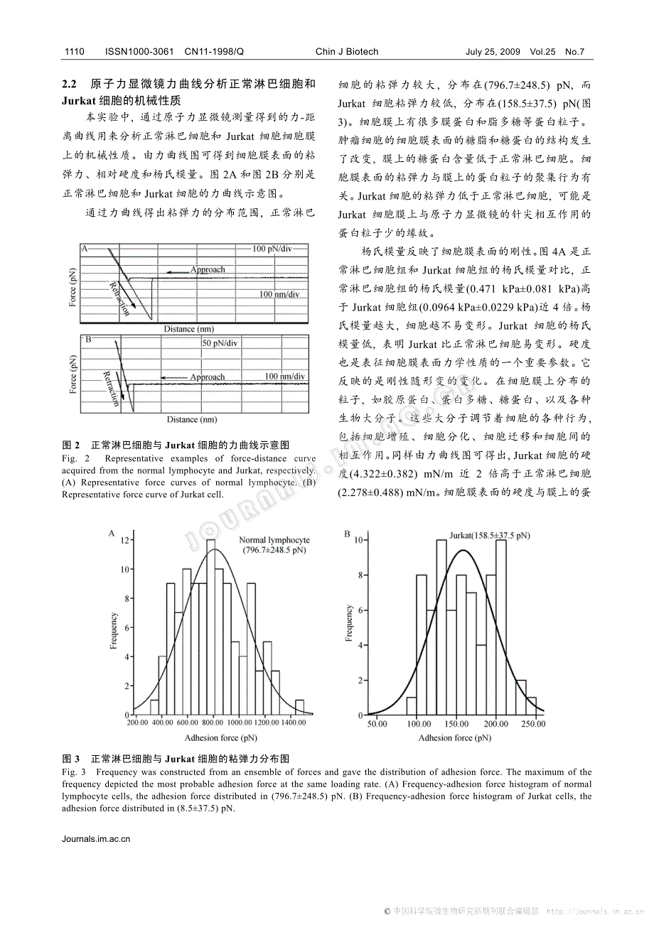 应用原子力显微镜分析正常淋巴细胞和Jurkat细胞的形态和_第4页